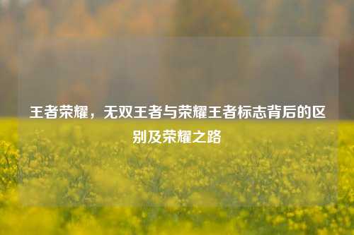 王者荣耀，无双王者与荣耀王者标志背后的区别及荣耀之路