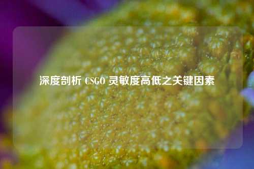 深度剖析 CSGO 灵敏度高低之关键因素