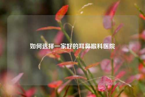如何选择一家好的耳鼻喉科医院