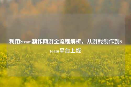 利用Steam     网游全流程解析，从游戏     到Steam平台上线