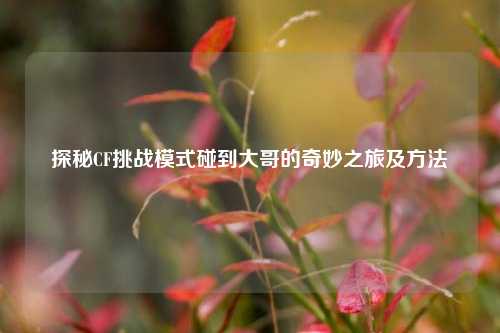 探秘CF挑战模式碰到大哥的奇妙之旅及     