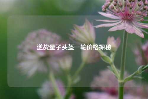 逆战量子头盔一轮价格探秘