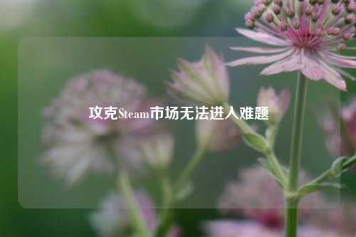 攻克Steam市场无法进入难题