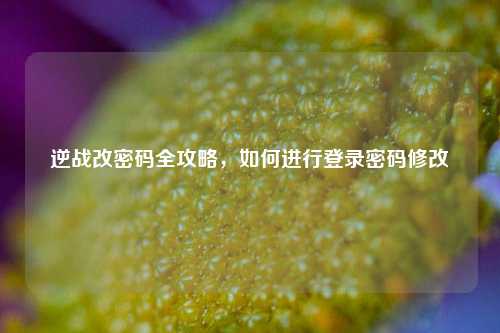 逆战改密码全攻略，如何进行登录密码修改