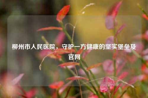 柳州市人民医院，守护一方健康的坚实堡垒及官网