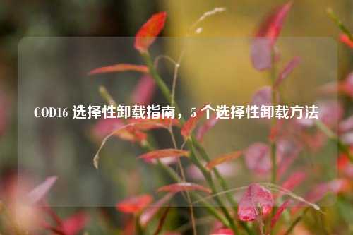 COD16 选择性卸载指南，5 个选择性卸载     