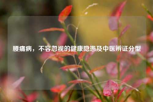 腰痛病，不容忽视的健康隐患及中医辨证分型