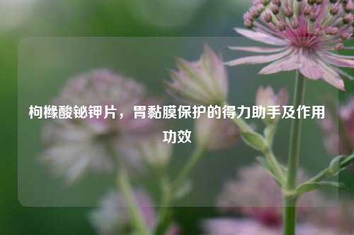 枸橼酸铋钾片，胃黏膜保护的得力助手及作用功效