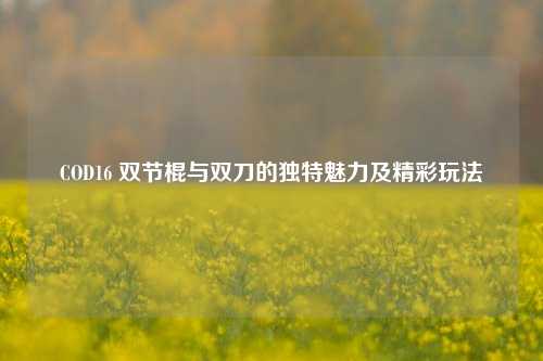 COD16 双节棍与双刀的独特魅力及精彩玩法