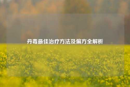 丹毒更佳治疗     及偏方全解析