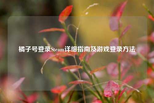 橘子号登录Steam详细指南及游戏登录     