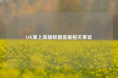 LOL掌上英雄联盟     相关事宜