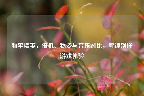 和平精英，僚机、物资与音乐对比，解锁别样游戏体验