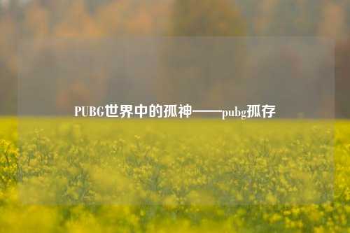 PUBG世界中的孤神——pubg孤存