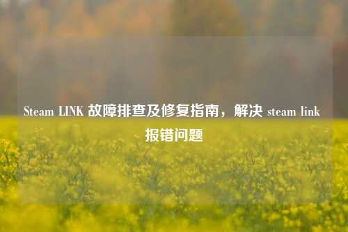 Steam LINK 故障排查及修复指南，解决 steam link 报错问题