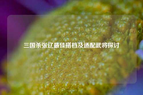 三国杀张辽更佳搭档及适配武将探讨