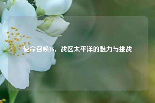 使命召唤16,战区太平洋的魅力与挑战
