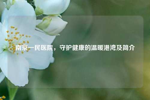 南京一民医院,守护健康的温暖港湾及简介