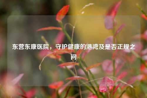 东营东康医院,守护健康的港湾及是否正规之问