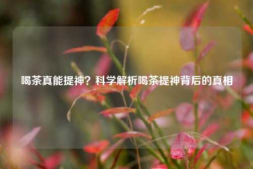 喝茶真能提神?科学解析喝茶提神背后的真相