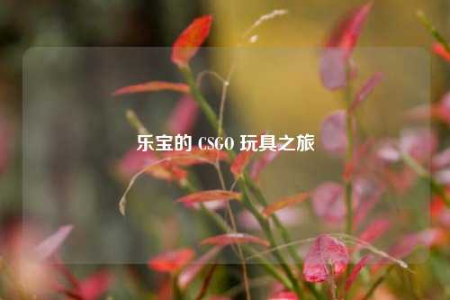 乐宝的 CSGO 玩具之旅