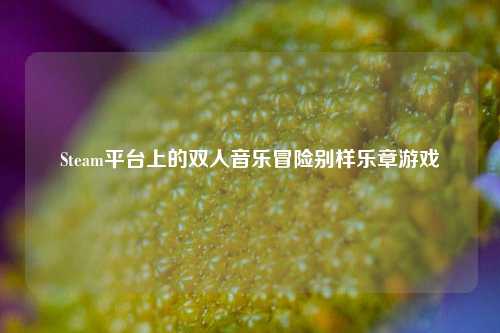 Steam平台上的双人音乐冒险别样乐章游戏