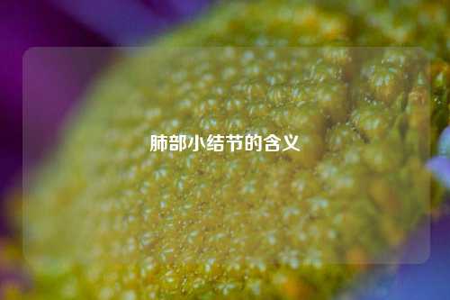肺部小结节的含义