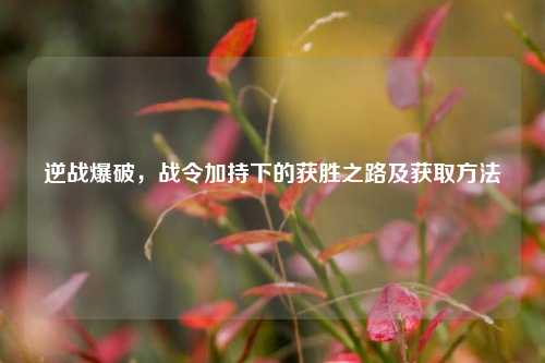 逆战爆破,战令加持下的获胜之路及获取
