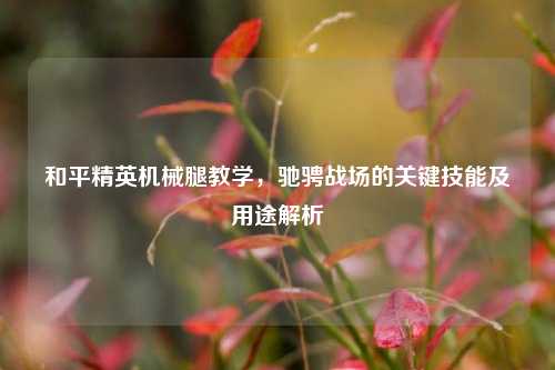 和平精英机械腿教学,驰骋战场的关键技能及用途解析