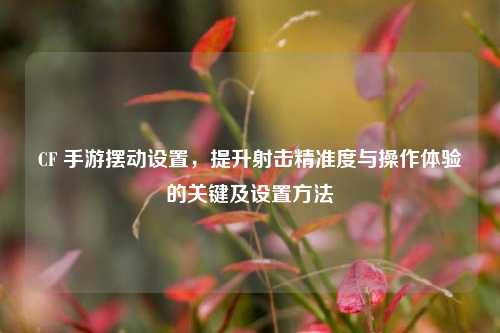 CF 手游摆动设置,提升射击精准度与操作体验的关键及设置