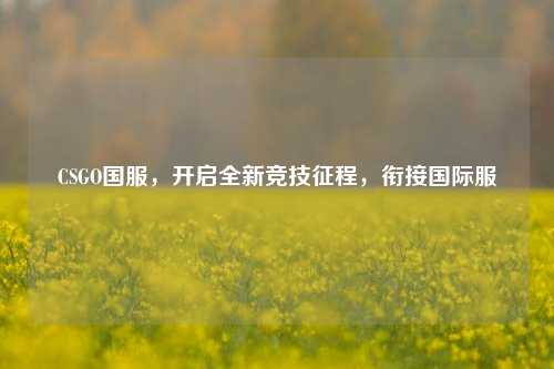 CSGO国服,开启全新竞技征程,衔接国际服