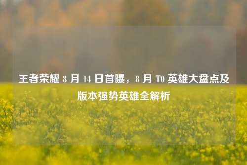 王者荣耀 8 月 14 日首曝,8 月 T0 英雄大盘点及版本强势英雄全解析