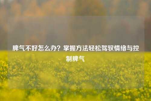 脾气不好怎么办?掌握 轻松驾驭情绪与控制脾气