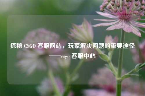 探秘 CSGO 网站,玩家解决问题的重要途径——csgo 中心
