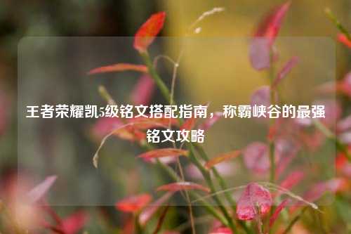 王者荣耀凯5级铭文搭配指南,称霸峡谷的最强铭文攻略