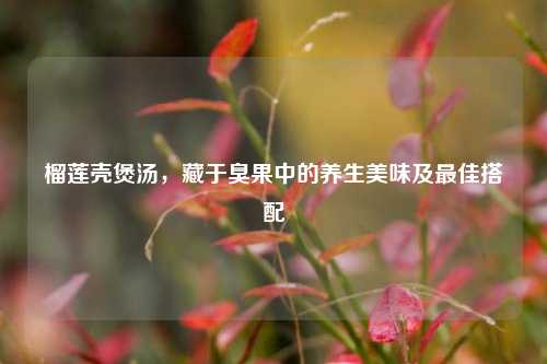 榴莲壳煲汤,藏于臭果中的养生美味及更佳搭配