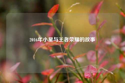 2016年小星与王者荣耀的故事