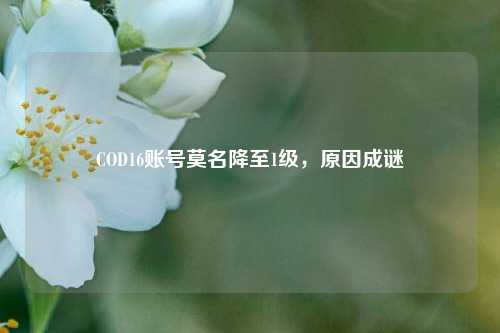 COD16账号莫名降至1级，原因成谜