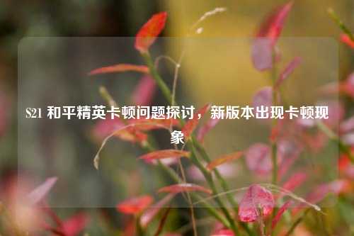 S21 和平精英卡顿问题探讨,新版本出现卡顿现象