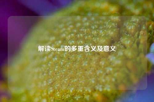 解读Steam的多重含义及意义