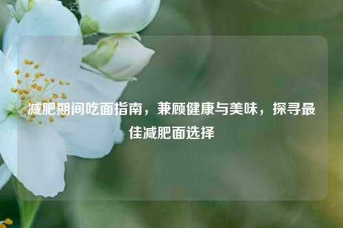减肥期间吃面指南,兼顾健康与美味,探寻更佳减肥面选择