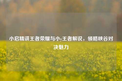 小启精讲王者荣耀与小y王者解说,领略峡谷对决魅力