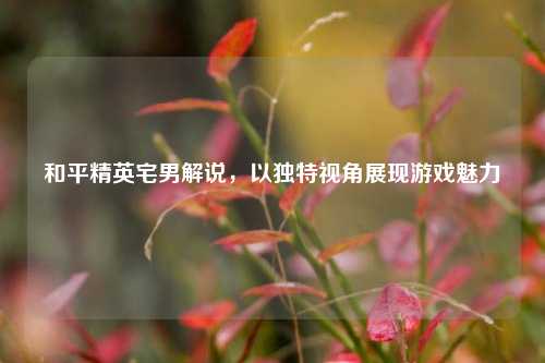 和平精英宅男解说,以独特视角展现游戏魅力