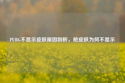 PUBG不显示皮肤原因剖析,枪皮肤为何不显示