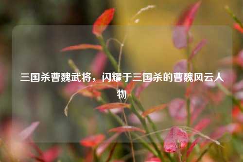 三国杀曹魏武将,闪耀于三国杀的曹魏风云人物