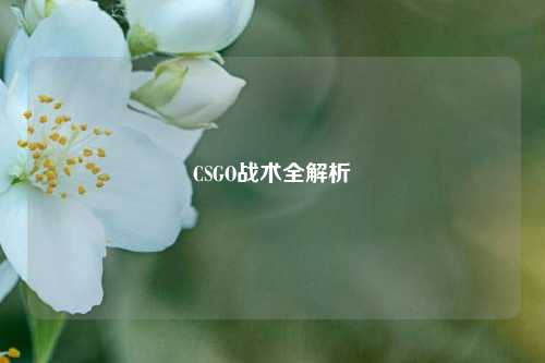 CSGO战术全解析