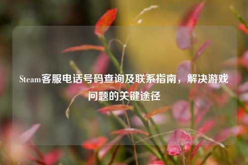 Steam 号码查询及联系指南,解决游戏问题的关键途径