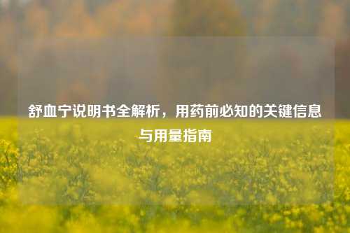 舒血宁说明书全解析,用药前必知的关键信息与用量指南