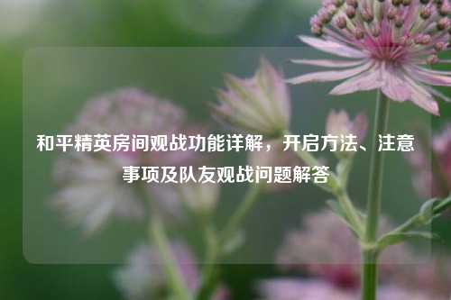 和平精英房间观战功能详解，开启     、注意事项及队友观战问题解答