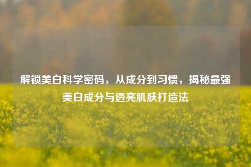 解锁美白科学密码,从成分到习惯,揭秘最强美白成分与透亮肌肤打造法